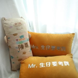 抗菌透氣乖乖攬攬豬 (小)