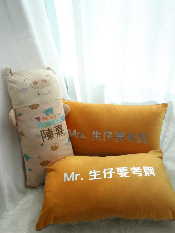 抗菌透氣乖乖攬攬豬 (小)