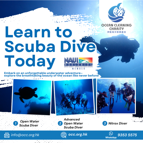 Learn-to-Scuba-Dive-Today.png 淨藍海洋-NAUI 潛水員課程
