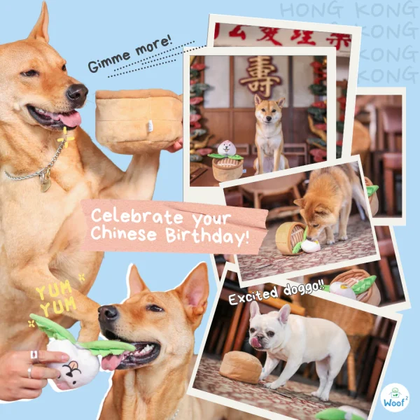 7_49e264a7-45a9-45c2-a32b-0a7038bc81fd_1800x1800 Woof² Meow²-Woof² | 中式生日壽桃三合一藏食寵物毛絨玩具