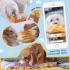 EggPuff3_1800x1800 Woof² Meow²-Woof² | 香港街頭小食85折組合「雞蛋仔/格仔餅 + 咖喱魚蛋毛絨寵物玩具」