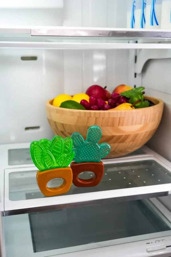 Lifestyle_AquaCool_Water-filled_Teether_House-plant_in_refrigerator_2_L Bliss & Bless-Dr. Brown's AquaCool 清涼水牙膠 2 個裝 - 仙人掌