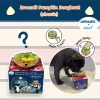 Lifetastic_x_Woof_Patisserie_Pet_Toy_Blind_Box_6_1800x1800 Woof² Meow²-LIFETASTIC x Woof² | 法式糕點寵物玩具盲盒
