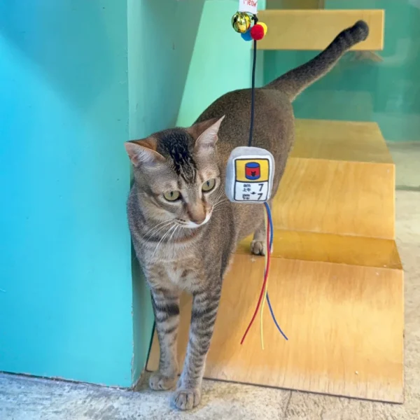 Meow_Canned_Food_Time_Soft_Plush_Cat_Wand_3_1800x1800 Woof² Meow²-Meow² |「罐罐時間」逗貓棒