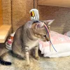 Meow_Canned_Food_Time_Soft_Plush_Cat_Wand_4_1800x1800 Woof² Meow²-Meow² |「罐罐時間」逗貓棒