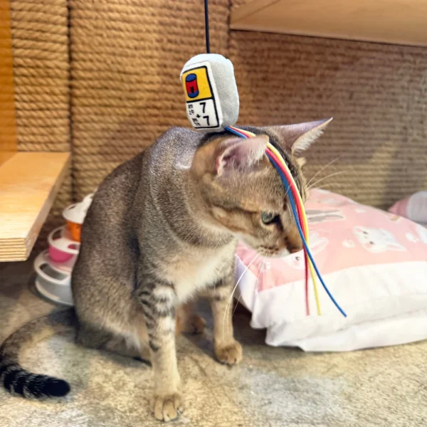 Meow_Canned_Food_Time_Soft_Plush_Cat_Wand_4_1800x1800 Woof² Meow²-Meow² |「罐罐時間」逗貓棒