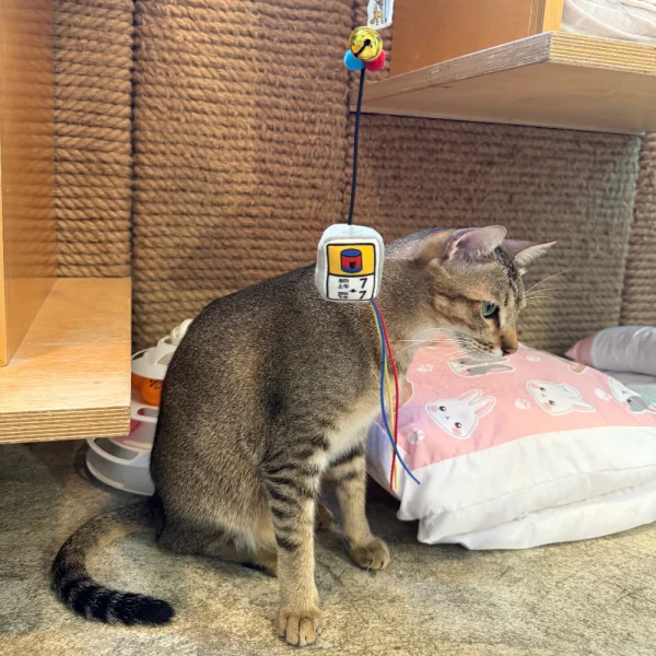 Meow_Canned_Food_Time_Soft_Plush_Cat_Wand_5_1800x1800 Woof² Meow²-Meow² |「罐罐時間」逗貓棒