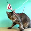 Meow_Cat_Warning_Sign_Soft_Plush_Cat_Wand_3_1800x1800 Woof² Meow²-Meow² |「貓出沒」注意警告牌逗貓棒