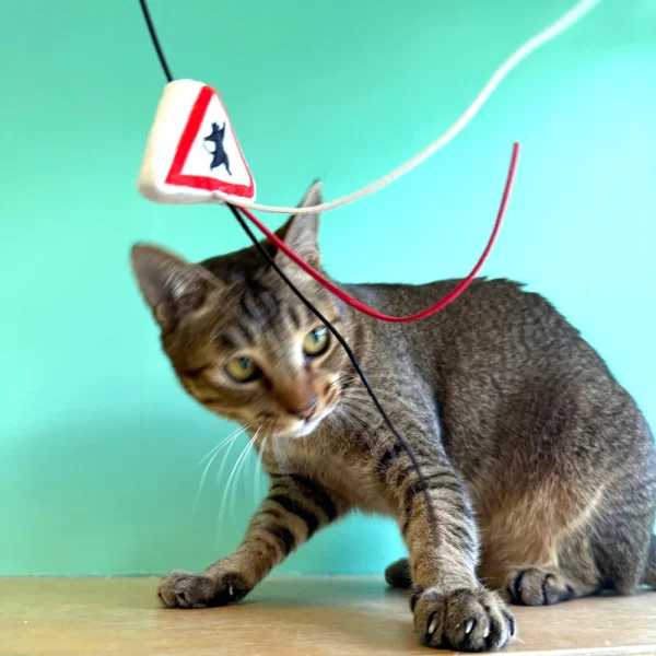 Meow_Cat_Warning_Sign_Soft_Plush_Cat_Wand_3_1800x1800 Woof² Meow²-Meow² |「貓出沒」注意警告牌逗貓棒