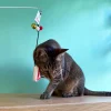 Meow_Cat_Warning_Sign_Soft_Plush_Cat_Wand_4_1800x1800 Woof² Meow²-Meow² |「貓出沒」注意警告牌逗貓棒