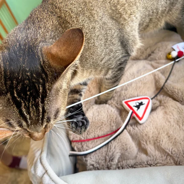 Meow_Cat_Warning_Sign_Soft_Plush_Cat_Wand_6_1800x1800 Woof² Meow²-Meow² |「貓出沒」注意警告牌逗貓棒