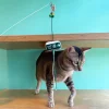 Meow_Exit_Sign_Soft_Plush_Cat_Wand_3_1800x1800 Woof² Meow²-Meow² | 逃生出口逗貓棒