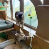 Meow_Exit_Sign_Soft_Plush_Cat_Wand_4_1800x1800 Woof² Meow²-Meow² | 逃生出口逗貓棒