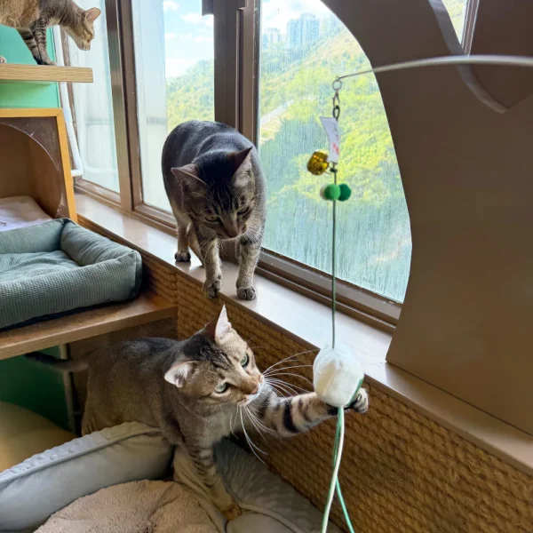 Meow_Exit_Sign_Soft_Plush_Cat_Wand_4_1800x1800 Woof² Meow²-Meow² | 逃生出口逗貓棒