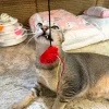 Meow_Hong_Kong_Vintage_Letter_Box_Soft_Plush_Cat_Wand_3_1800x1800 Woof² Meow²-Meow² | 香港懷舊信箱逗貓棒