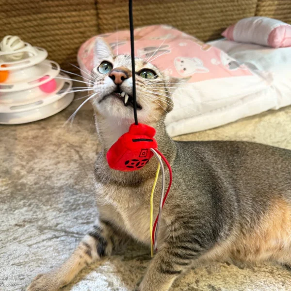 Meow_Hong_Kong_Vintage_Letter_Box_Soft_Plush_Cat_Wand_3_1800x1800 Woof² Meow²-Meow² | 香港懷舊信箱逗貓棒