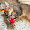 Meow_Hong_Kong_Vintage_Letter_Box_Soft_Plush_Cat_Wand_4_1800x1800 Woof² Meow²-Meow² | 香港懷舊信箱逗貓棒