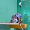 Meow_Red-White-Blue_Bag_Soft_Plush_Cat_Wand_3_1800x1800 Woof² Meow²-Meow² | 紅白藍膠袋逗貓棒