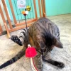 Meow_Red_Lampshade_Soft_Plush_Cat_Wand_4_1800x1800 Woof² Meow²-Meow² | 紅色街市燈逗貓棒