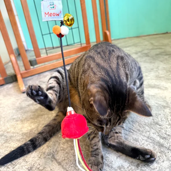 Meow_Red_Lampshade_Soft_Plush_Cat_Wand_4_1800x1800 Woof² Meow²-Meow² | 紅色街市燈逗貓棒