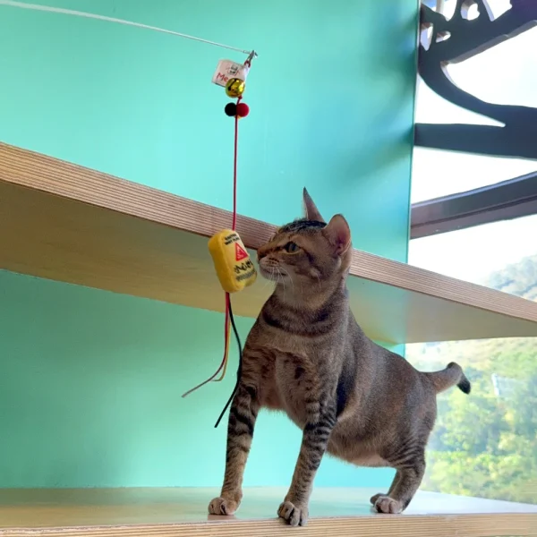 Meow_Slippery_Caution_Sign_Soft_Plush_Cat_Wand_3_1800x1800 Woof² Meow²-Meow² | 小心地滑警告牌逗貓棒