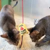 Meow_Slippery_Caution_Sign_Soft_Plush_Cat_Wand_4_1800x1800 Woof² Meow²-Meow² | 小心地滑警告牌逗貓棒