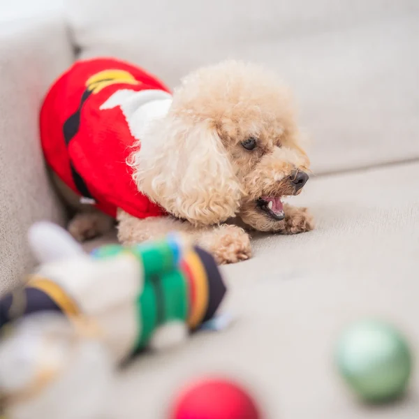 NutcrackerToy10_1800x1800 Woof² Meow²-Woof² | 胡桃夾子漏食寵物毛絨玩具