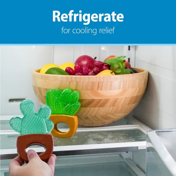 Web_Store_Listing_AquaCool_Water-filled_Teether_HousePlant_Feature3_INTL_English_L Bliss & Bless-Dr. Brown's AquaCool 清涼水牙膠 2 個裝 - 仙人掌
