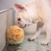 Woof_Buttered_Pineapple_Bun_2-in-1_Nose-work_Soft_Plush_Pet_Toy_4_1800x1800 Woof² Meow²-Woof² | 菠蘿油二合一藏食寵物玩具