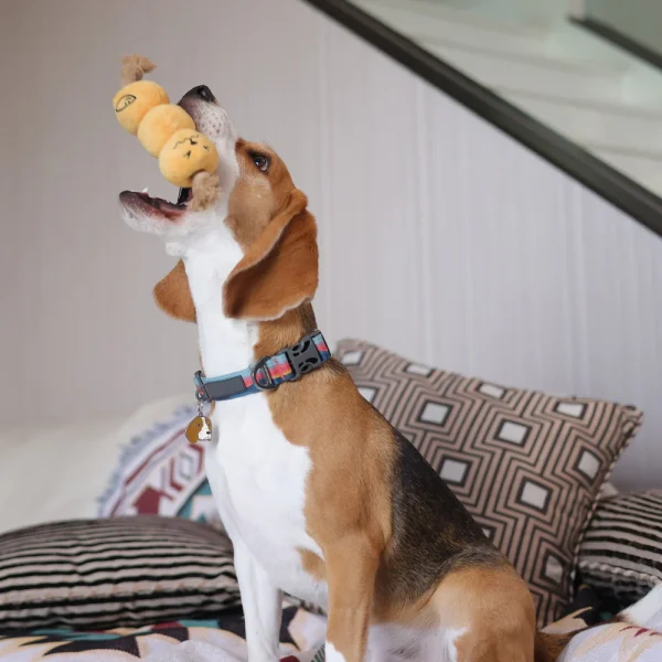Woof_Curry_Fishball_Soft_Plush_Rope_Pet_Pull_Toy_4_1800x1800 Woof² Meow²-Woof² | 咖喱魚蛋毛絨拉扯寵物玩具