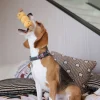 Woof_Curry_Fishball_Soft_Plush_Rope_Pet_Pull_Toy_4_1800x1800 Woof² Meow²-Woof² | 香港街頭小食85折組合「雞蛋仔/格仔餅 + 咖喱魚蛋毛絨寵物玩具」