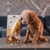Woof_Curry_Fishball_Soft_Plush_Rope_Pet_Pull_Toy_6_1800x1800 Woof² Meow²-Woof² | 咖喱魚蛋毛絨拉扯寵物玩具