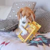 Woof_Egg_Puff_Waffle_2-in-1_Nosework_Soft_Plush_Pet_Toy_4_1800x1800 Woof² Meow²-Woof² | 雞蛋仔/格仔餅二合一藏食寵物毛絨玩具