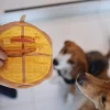 Woof_Egg_Puff_Waffle_2-in-1_Nosework_Soft_Plush_Pet_Toy_7_1800x1800 Woof² Meow²-Woof² | 雞蛋仔/格仔餅二合一藏食寵物毛絨玩具