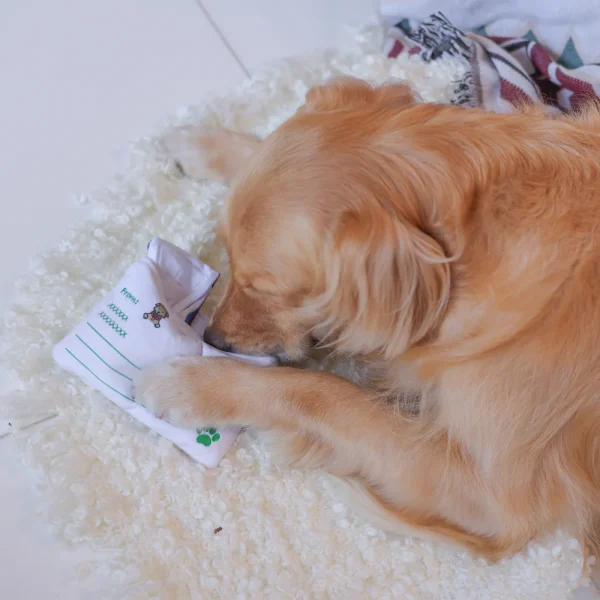 Woof_Hong_Kong_Airmail_Letter_Nosework_Soft_Plush_Pet_Toy_4_1800x1800 Woof² Meow²-Woof² | 香港空郵信件藏食毛絨寵物玩具