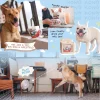 Woof_Hong_Kong_Milk_Tea_2-In-1_Nosework_Soft_Plush_Pet_Toy_3_1800x1800 Woof² Meow²-Woof² | 港式奶茶二合一藏食寵物玩具