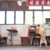 Woof_Hong_Kong_Milk_Tea_2-In-1_Nosework_Soft_Plush_Pet_Toy_7_1800x1800 Woof² Meow²-Woof² | 港式奶茶二合一藏食寵物玩具