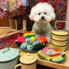 Woof_Nyonya_Kueh_Series_Pet_Toys_Blind_Box_10_1800x1800 Woof² Meow²-Woof² | 娘惹粿系列寵物玩具盲盒