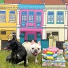Woof_Nyonya_Kueh_Series_Pet_Toys_Blind_Box_11_1800x1800 Woof² Meow²-Woof² | 娘惹粿系列寵物玩具盲盒