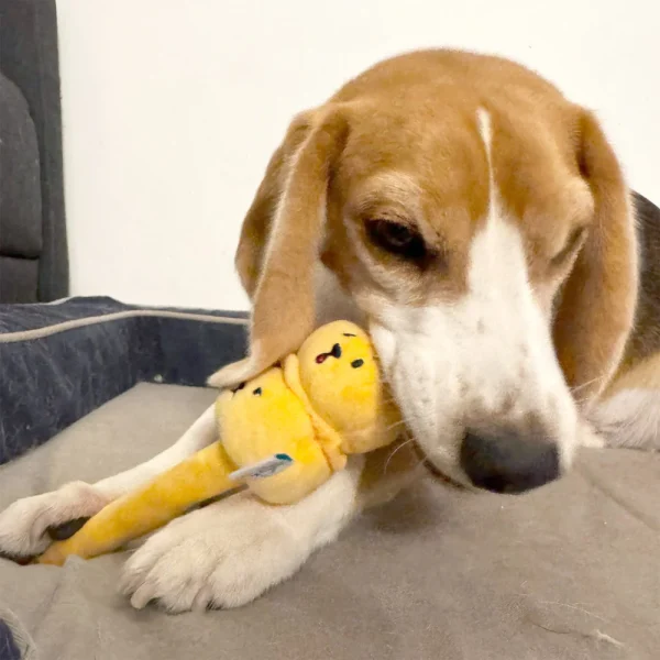 Woof_Siu_Mai_Brothers_Soft_Plush_Pet_Toy_5_1800x1800 Woof² Meow²-Woof² | 燒賣兄弟毛絨寵物玩具